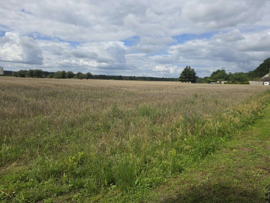 Feld hinter Grundst�ck Einfamilienhaus Kremmen