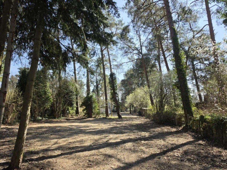 baureifes Grundst�ck Wohngrundst�ck Z�hlsdorf