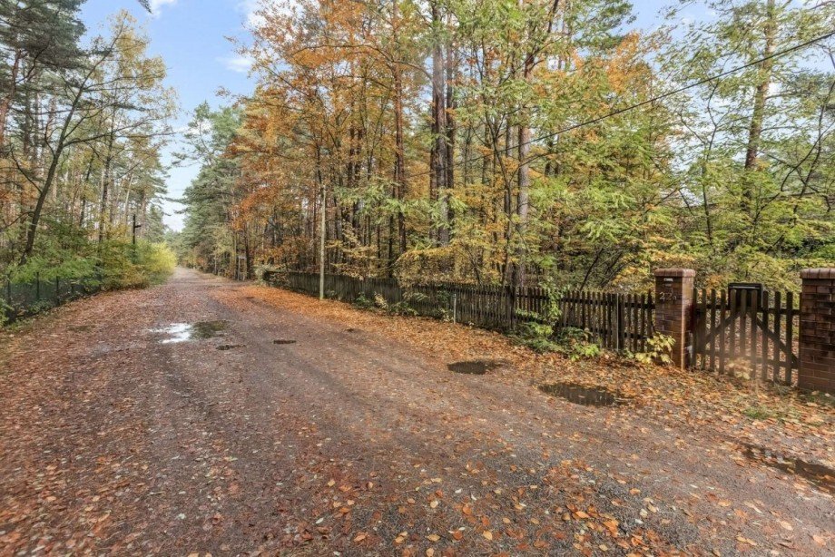 Stra�e Einfamilienhaus Borkwalde