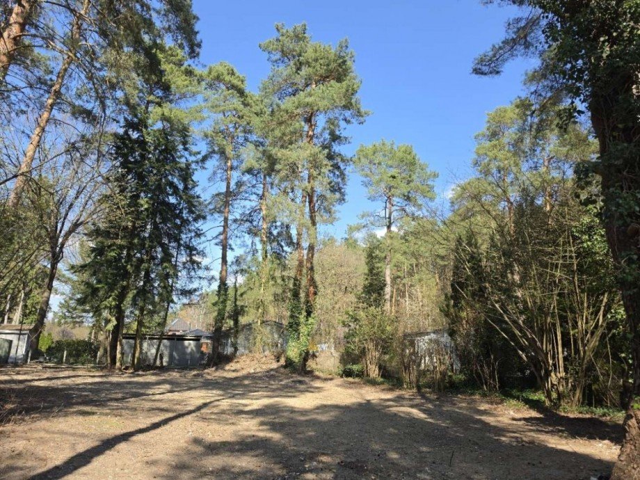 baureifes Grundst�ck Wohngrundst�ck Z�hlsdorf