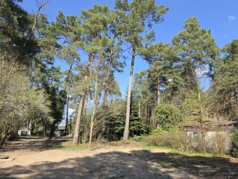 baureifes Grundst�ck Z�hlsdorf Wohngrundst�ck Gro�es, ber�umtes Baugrundst�ck in ruhiger Wohnlage. Kann mit bis zu 2 H�usern bebaut werden.